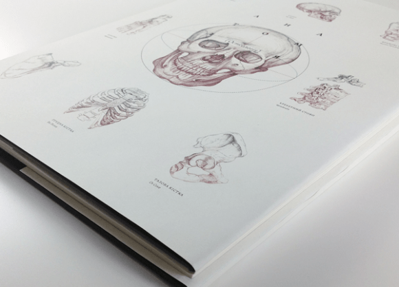 anatomy-book-6