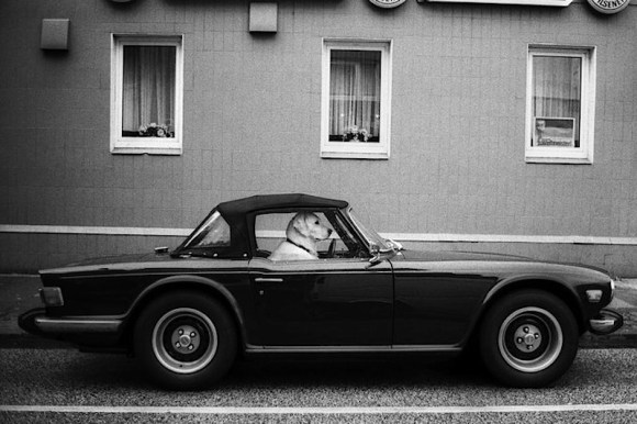 triumph-tr6-Mark Thomas - Downloaded from 500px_jpg